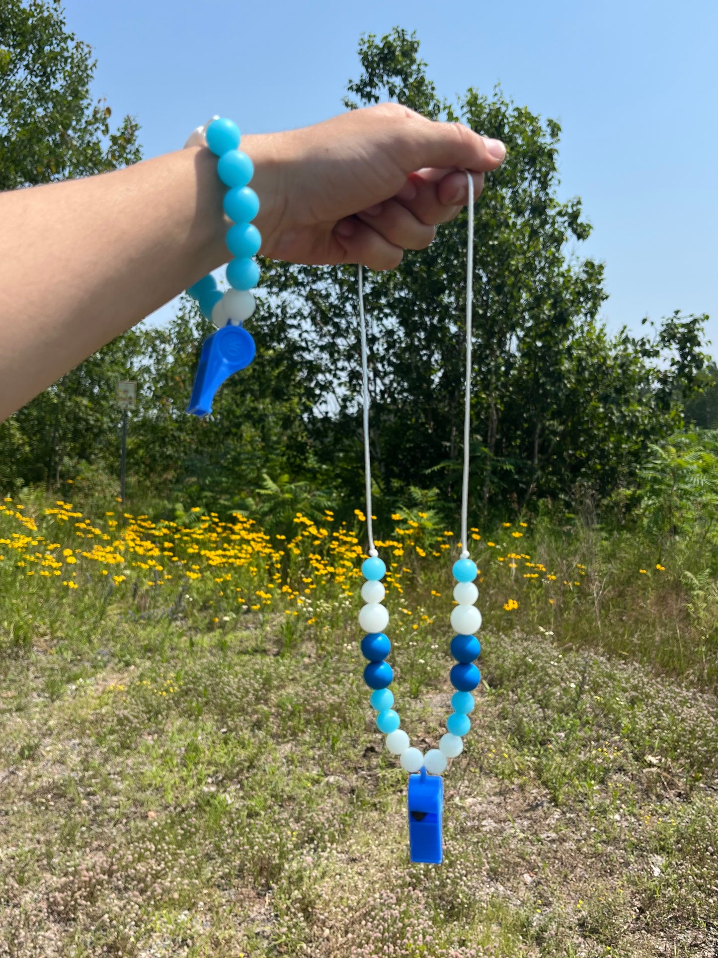 Whistle Lanyard